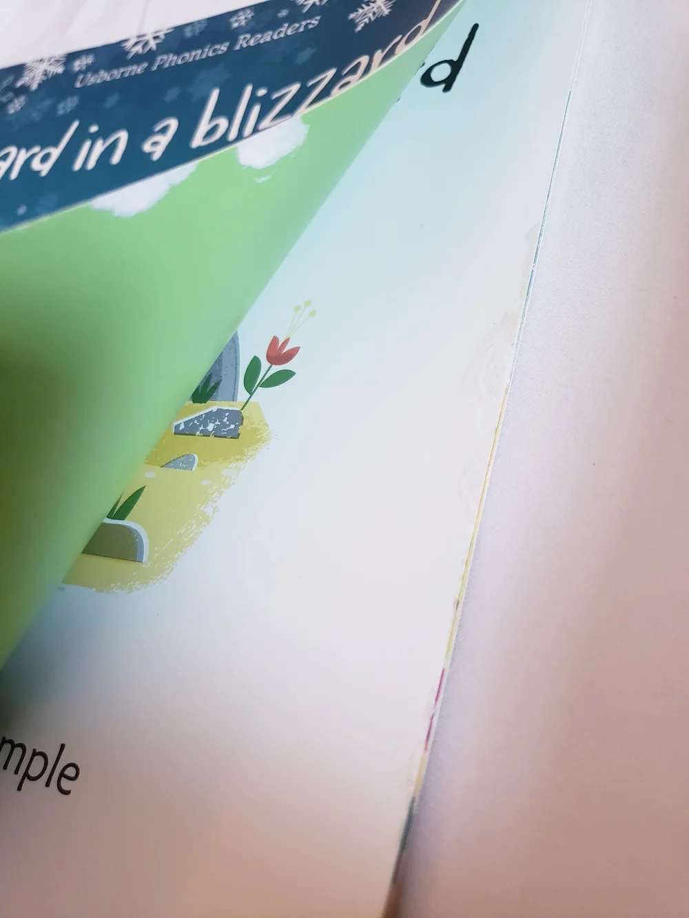 Usborne Phonics Readers 